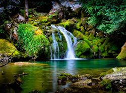ENVIRONMENTAL MANAGEMENT SYSTEM